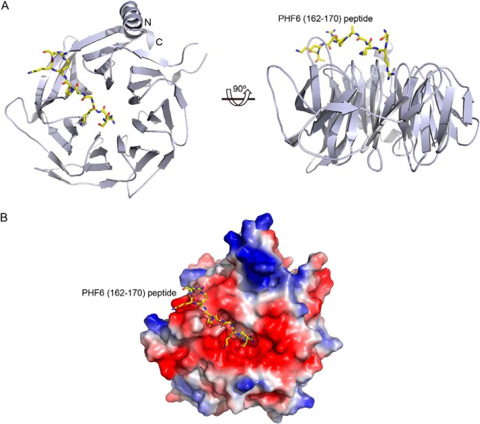 FIGURE 2.