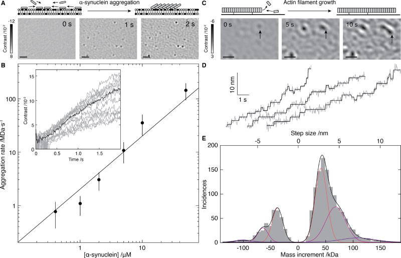 Fig. 4