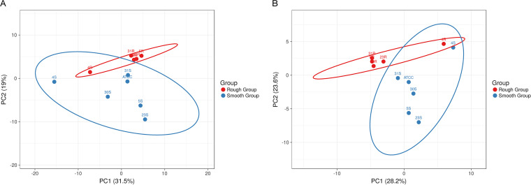 FIG 6