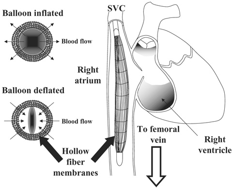 FIG. 1.