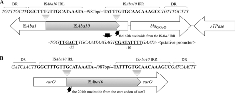 FIG. 1.