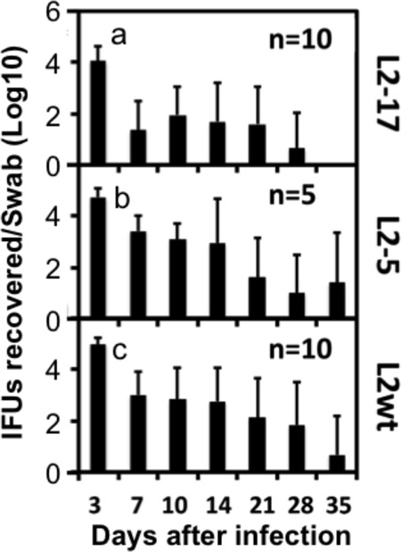 FIG 3