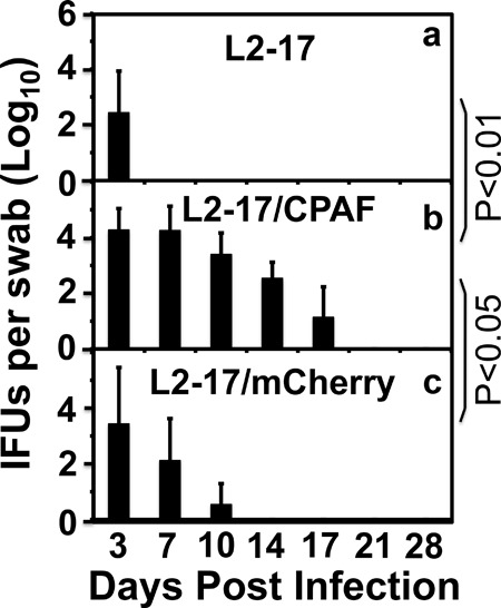 FIG 6