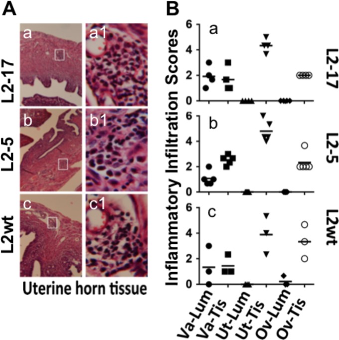 FIG 4