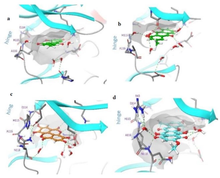 Figure 11