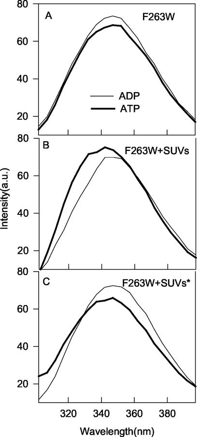 FIG. 8.