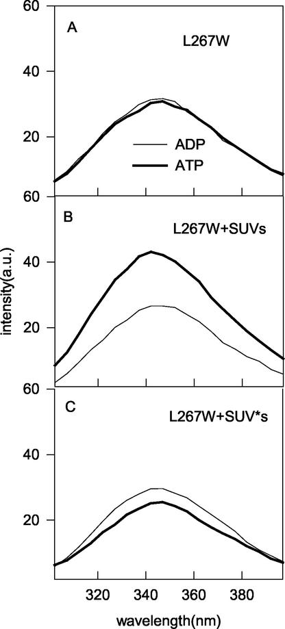 FIG. 9.