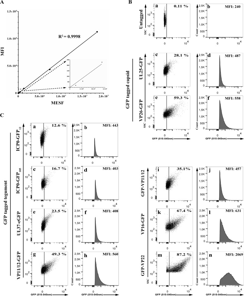 FIG 3