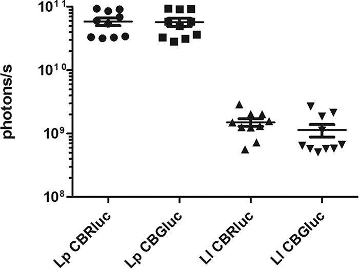 FIG 1