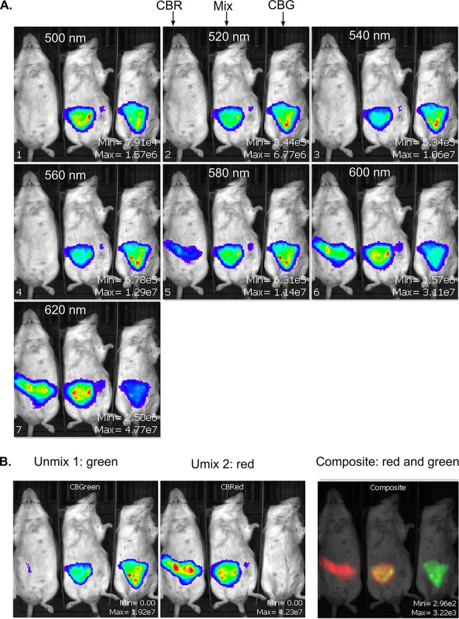 FIG 3