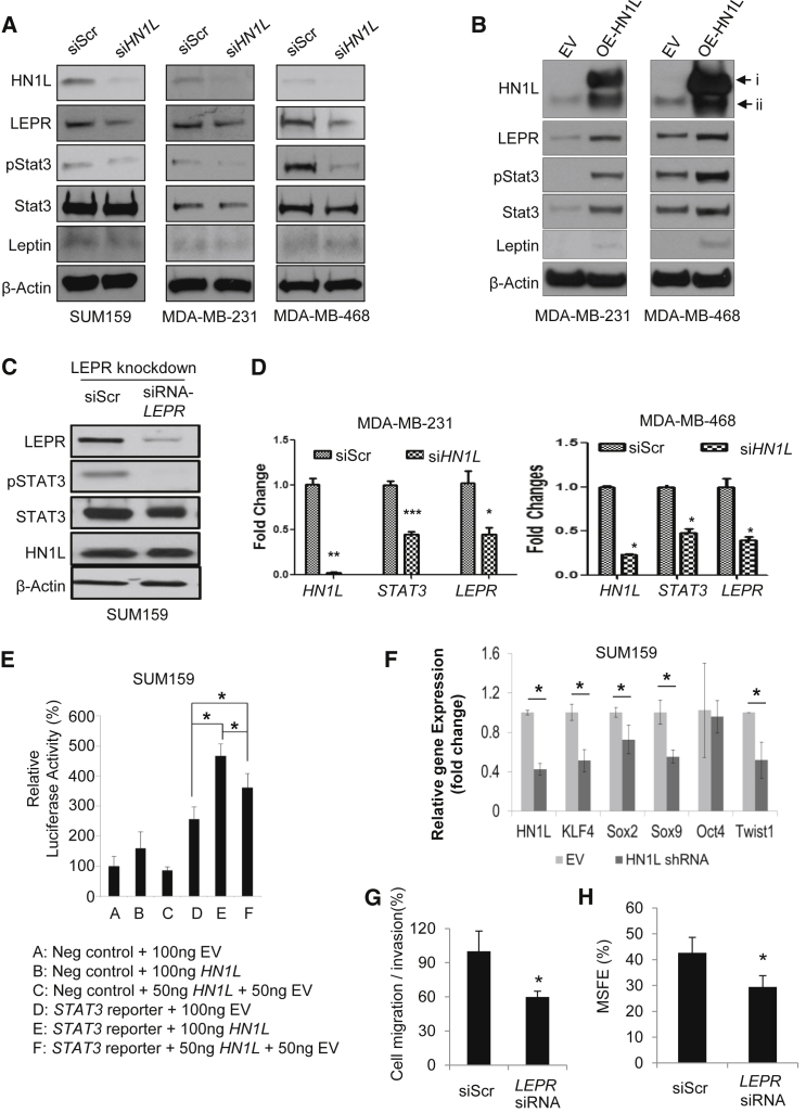 Figure 6