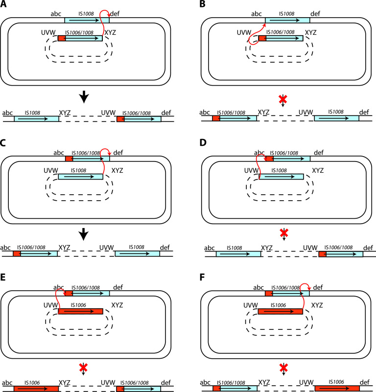 FIG 4