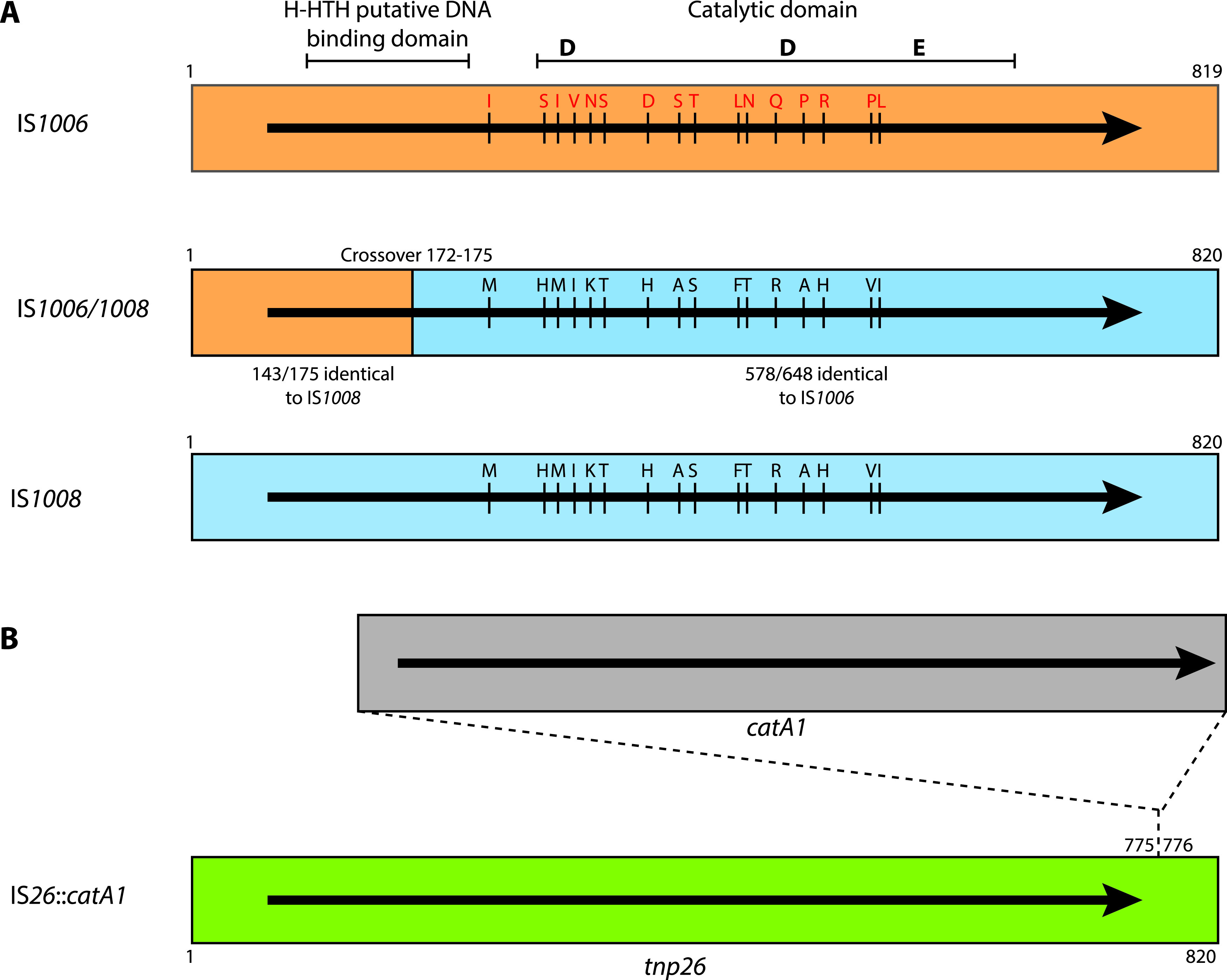 FIG 2