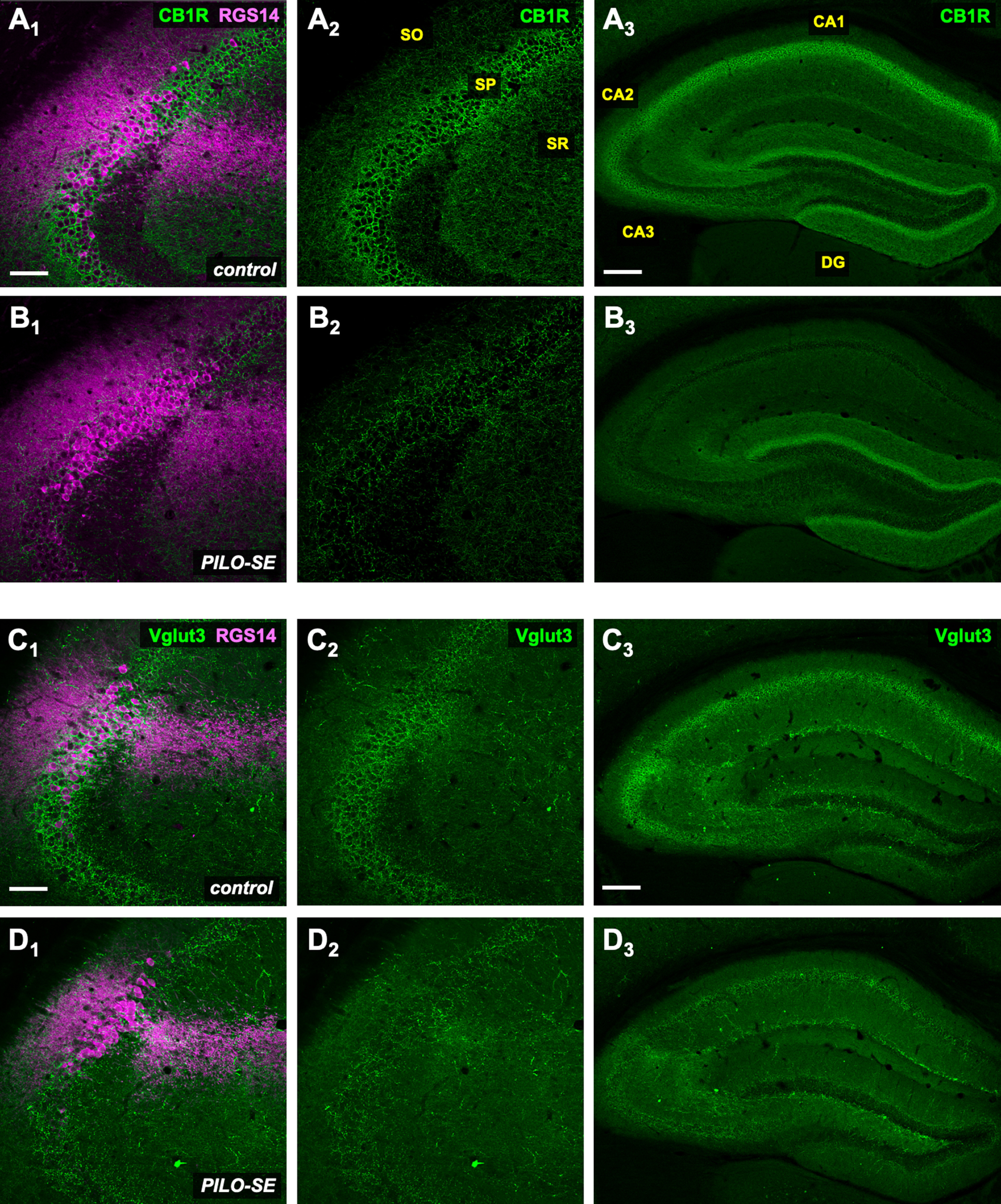 Figure 10.