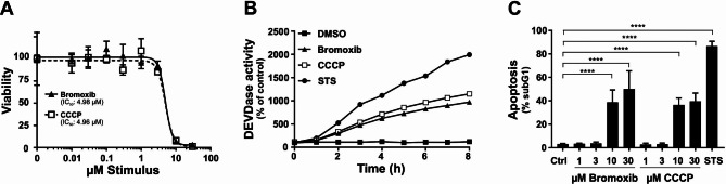 Fig. 6