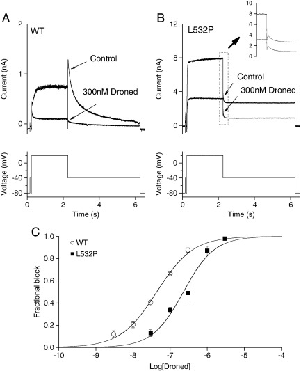 Fig. 6