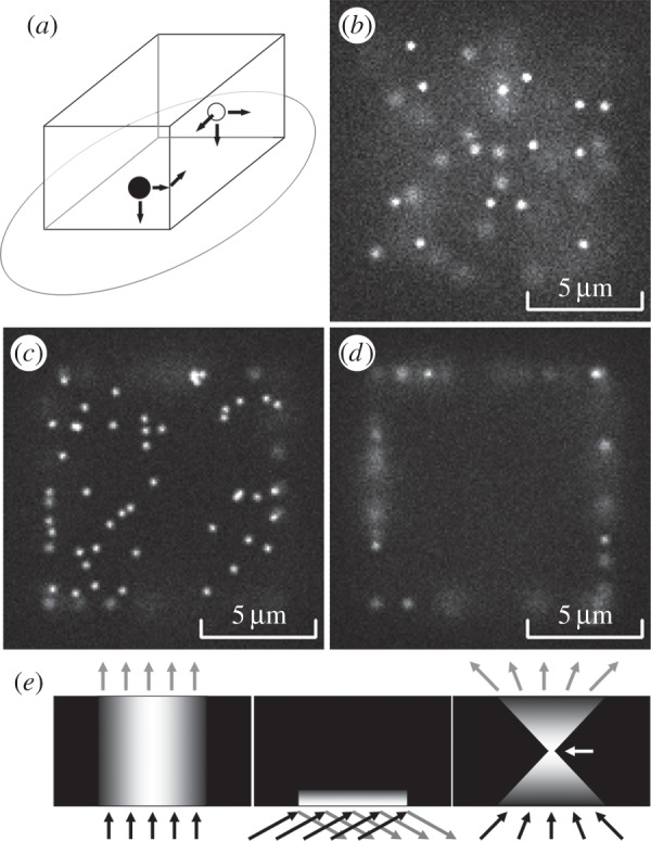 Figure 2.