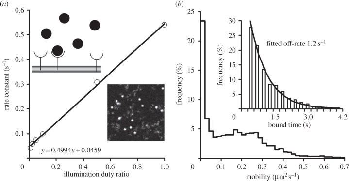 Figure 6.