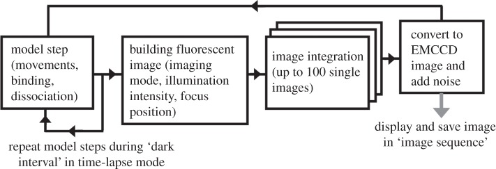 Figure 1.