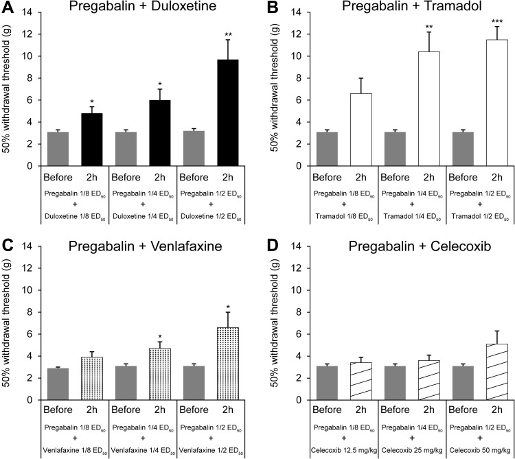 gabapentin pregabalin combination therapy
