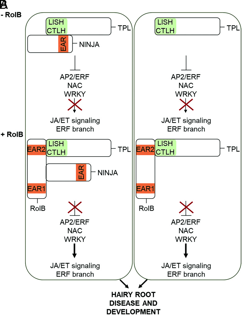 Fig. 6.