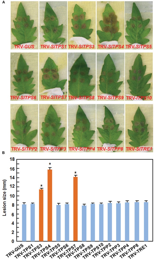 FIGURE 4