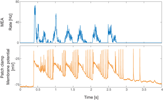 Figure 5