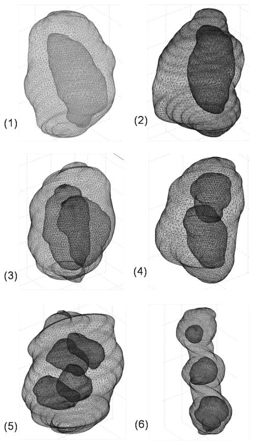 Fig. 1