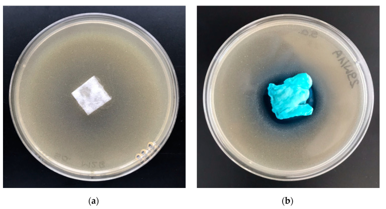 Figure 11