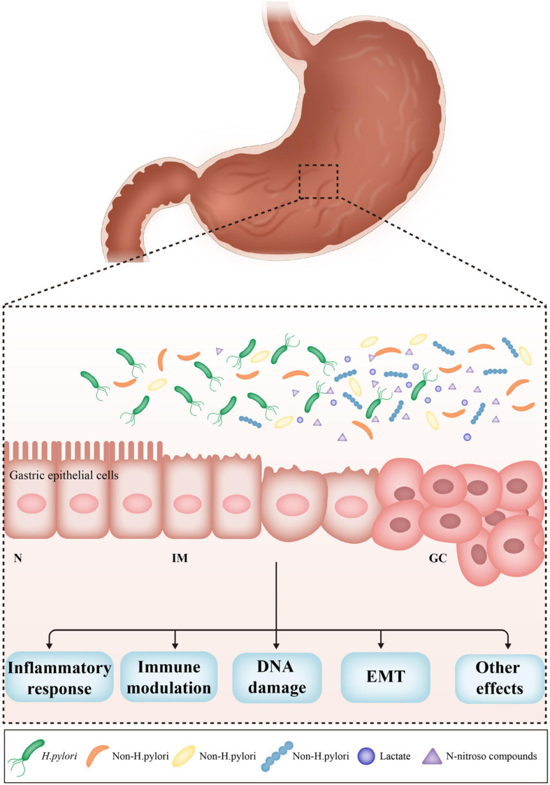 FIGURE 1