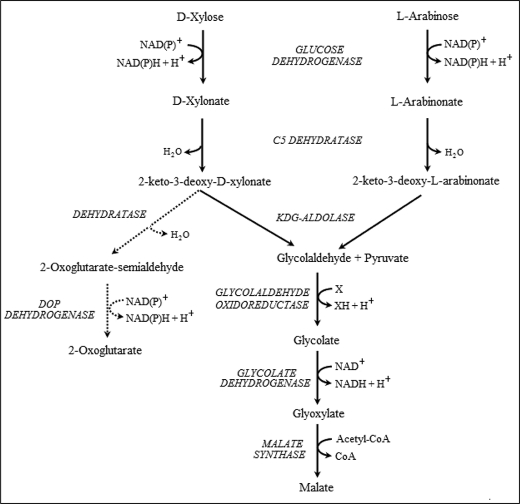 FIGURE 2.