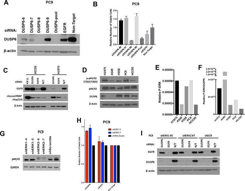 Figure 3—figure supplement 1.