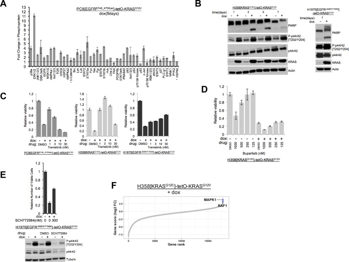 Figure 1—figure supplement 1.