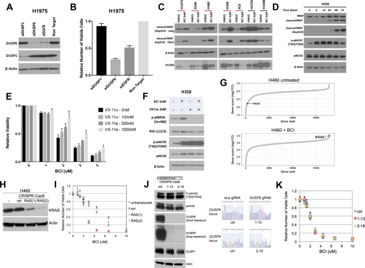 Figure 4—figure supplement 1.