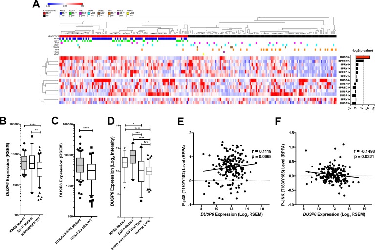 Figure 2—figure supplement 1.