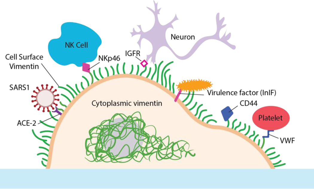 Figure 4: