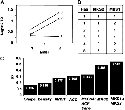 Figure 7.