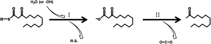 Figure 9.