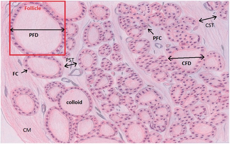 Figure 2