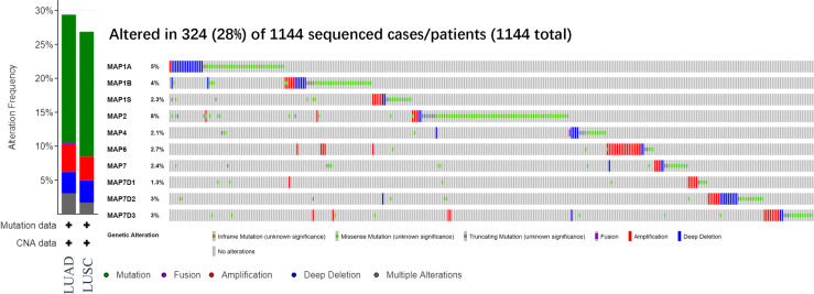 Figure 6