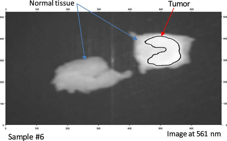 Fig. 13