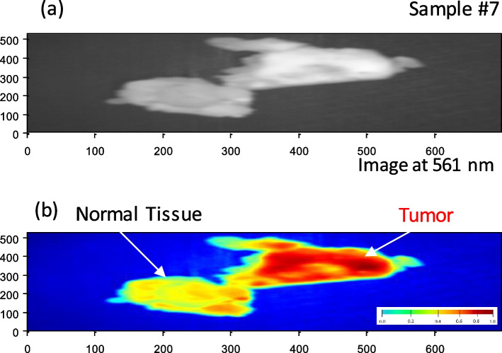 Fig. 12