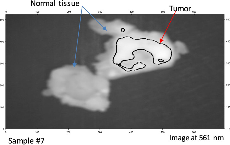 Fig. 14