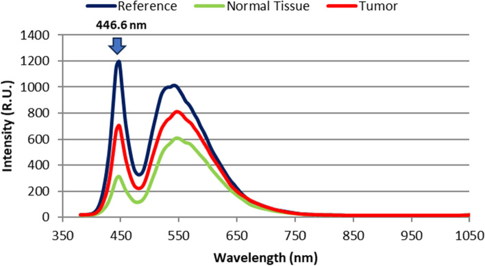 Fig. 2