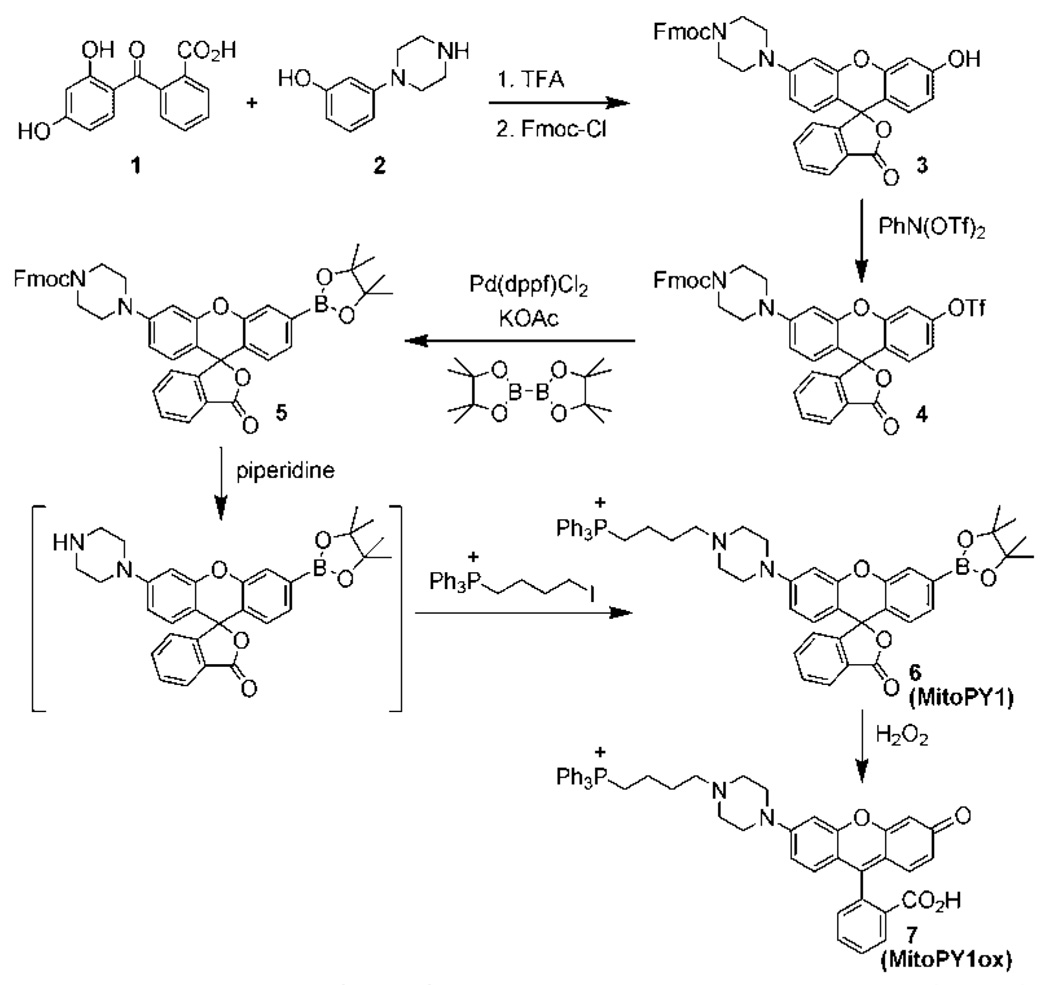 Scheme 1