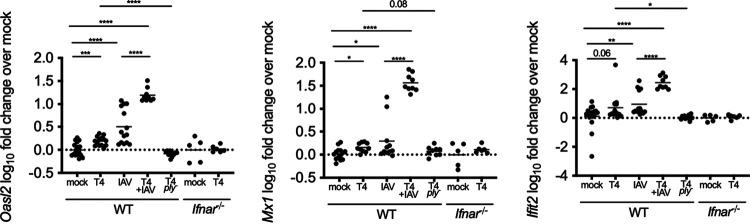 FIG 3