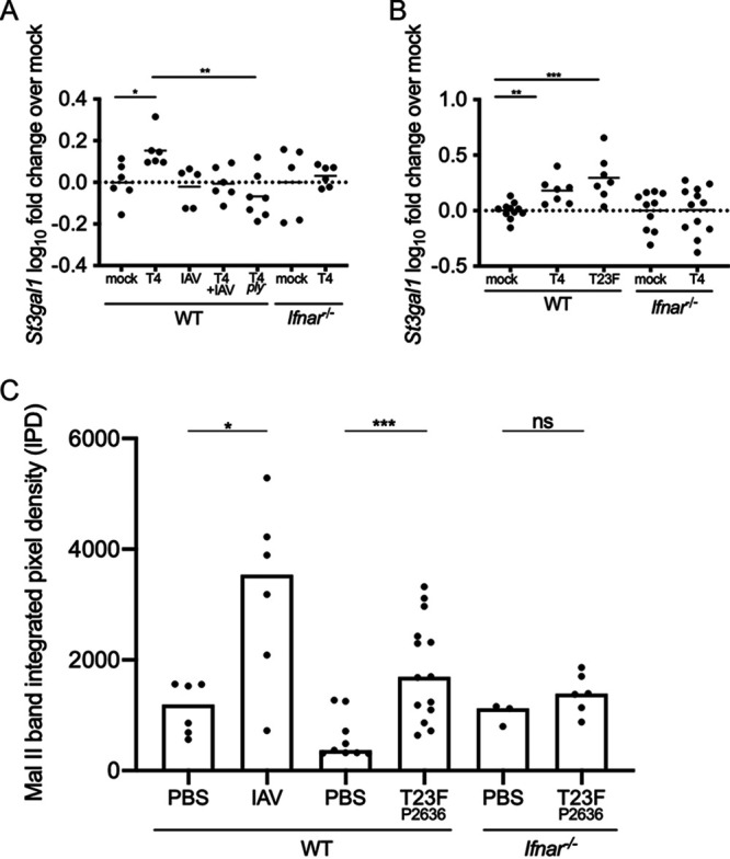 FIG 4