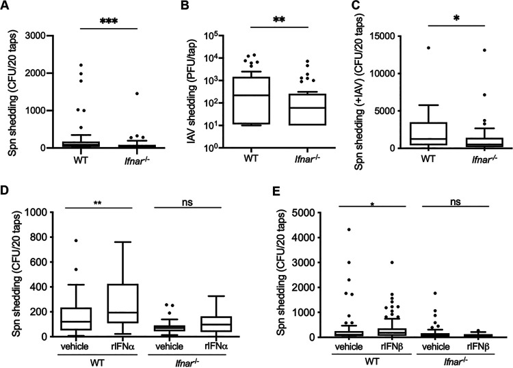 FIG 1