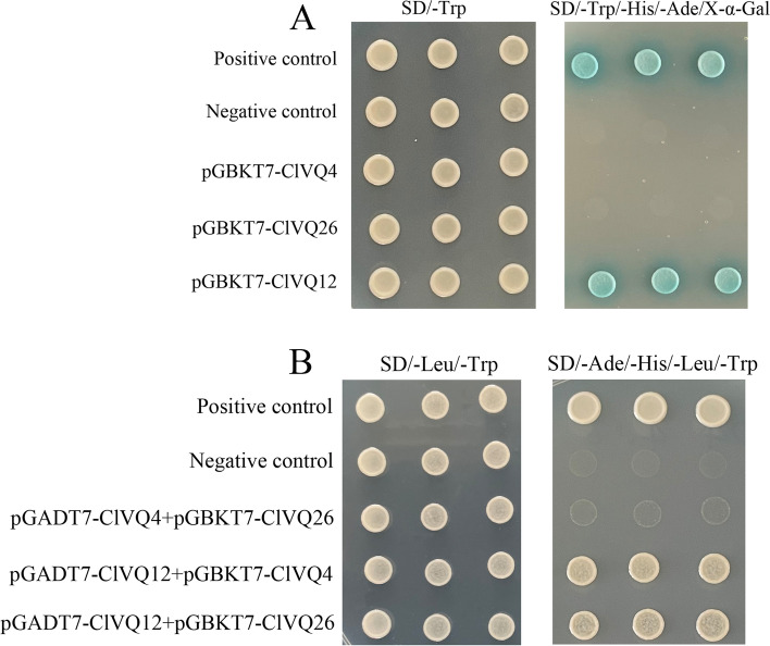 Fig. 10