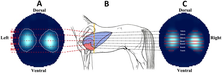 Fig 2